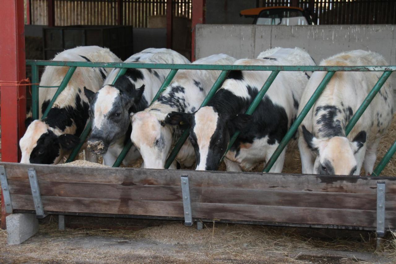 Church Farm สแตรทฟอร์ด อะพอน เอวอน ภายนอก รูปภาพ