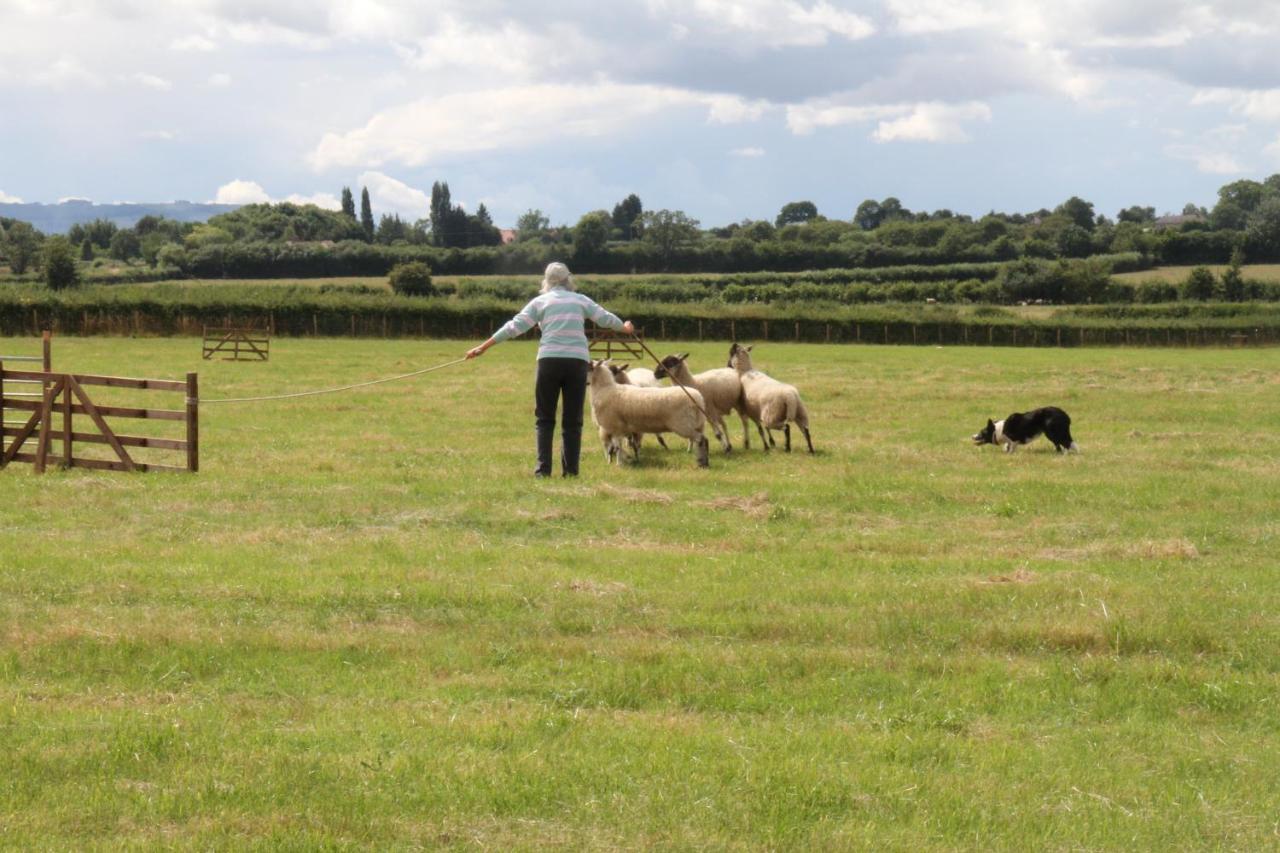 Church Farm สแตรทฟอร์ด อะพอน เอวอน ภายนอก รูปภาพ