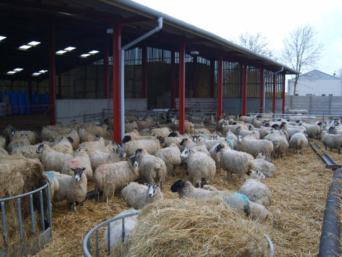 Church Farm สแตรทฟอร์ด อะพอน เอวอน ภายนอก รูปภาพ